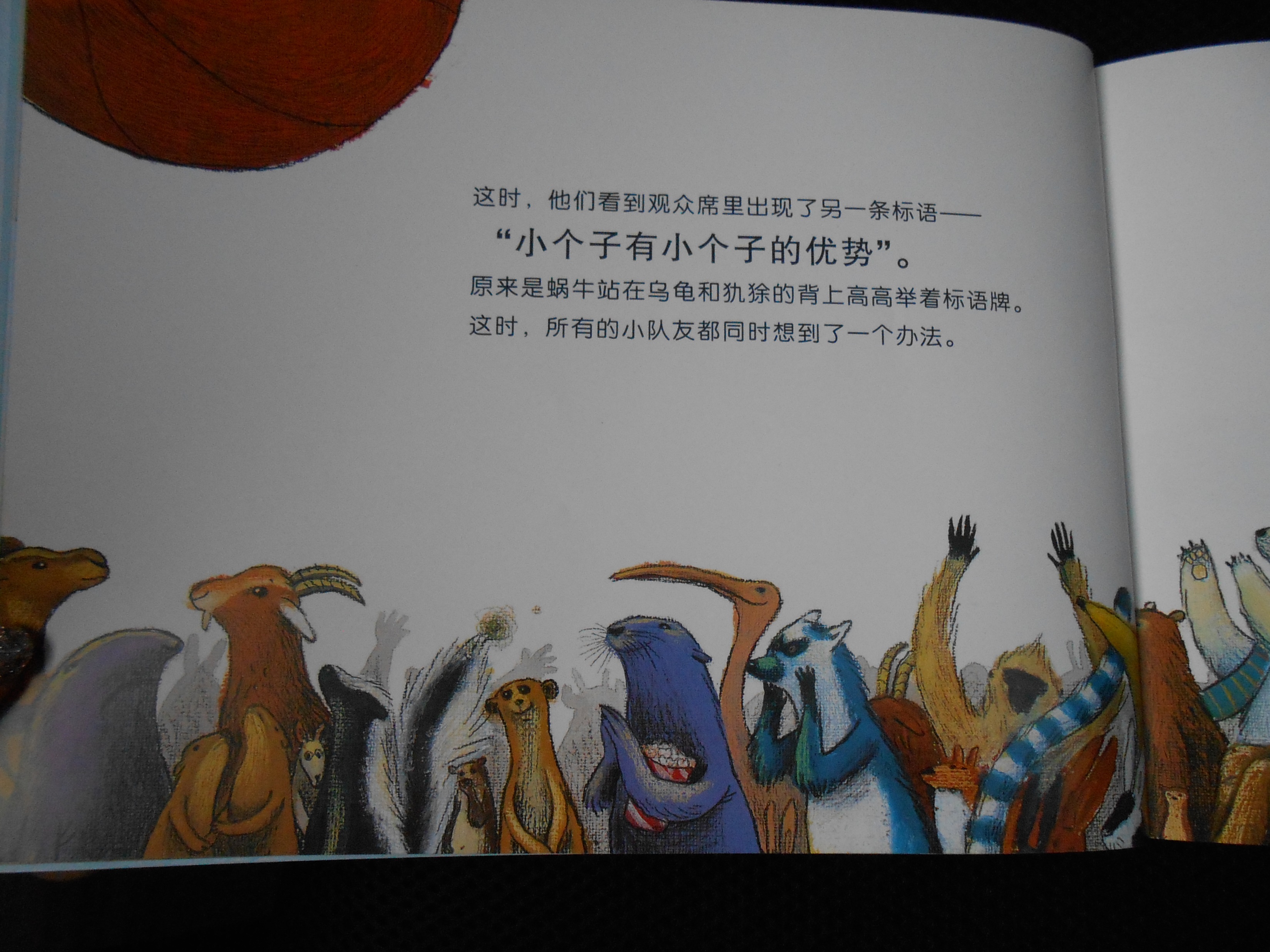小个也能打篮球 (09),绘本,绘本故事,绘本阅读,故事书,童书,图画书,课外阅读